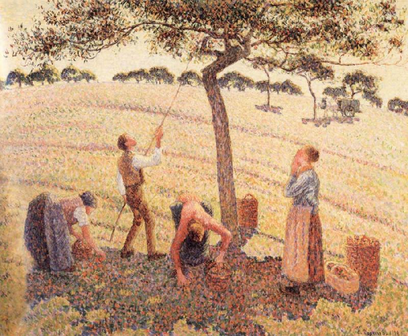 Camille Pissarro Apple picking at Eragny-sur-Epte oil painting image